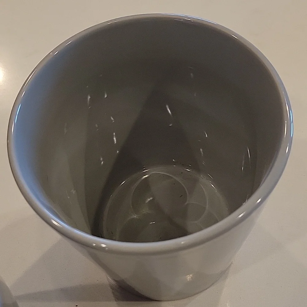 Pottery Barn Two Modern Gray Ceramic Planter Pots